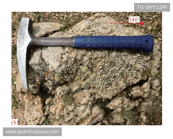 万博maxbextx多种支付方式介绍,满足不同用户的多样需求 万博maxbextx多种支付方式介绍,满足不同用户的多样需求